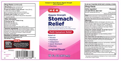 Regular Strength Stomach relief 473 mL - 302 88 stomach relief image